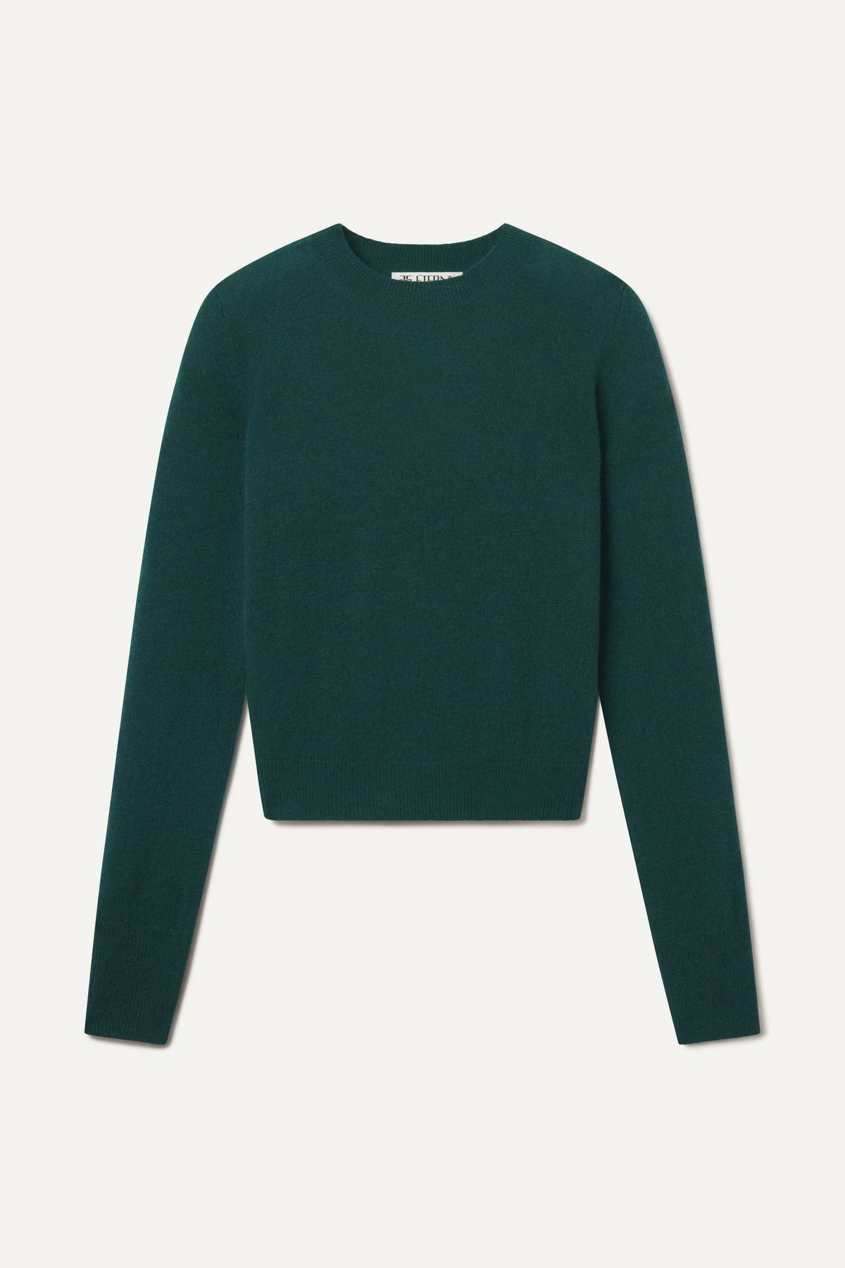 Pull Francis - Forest