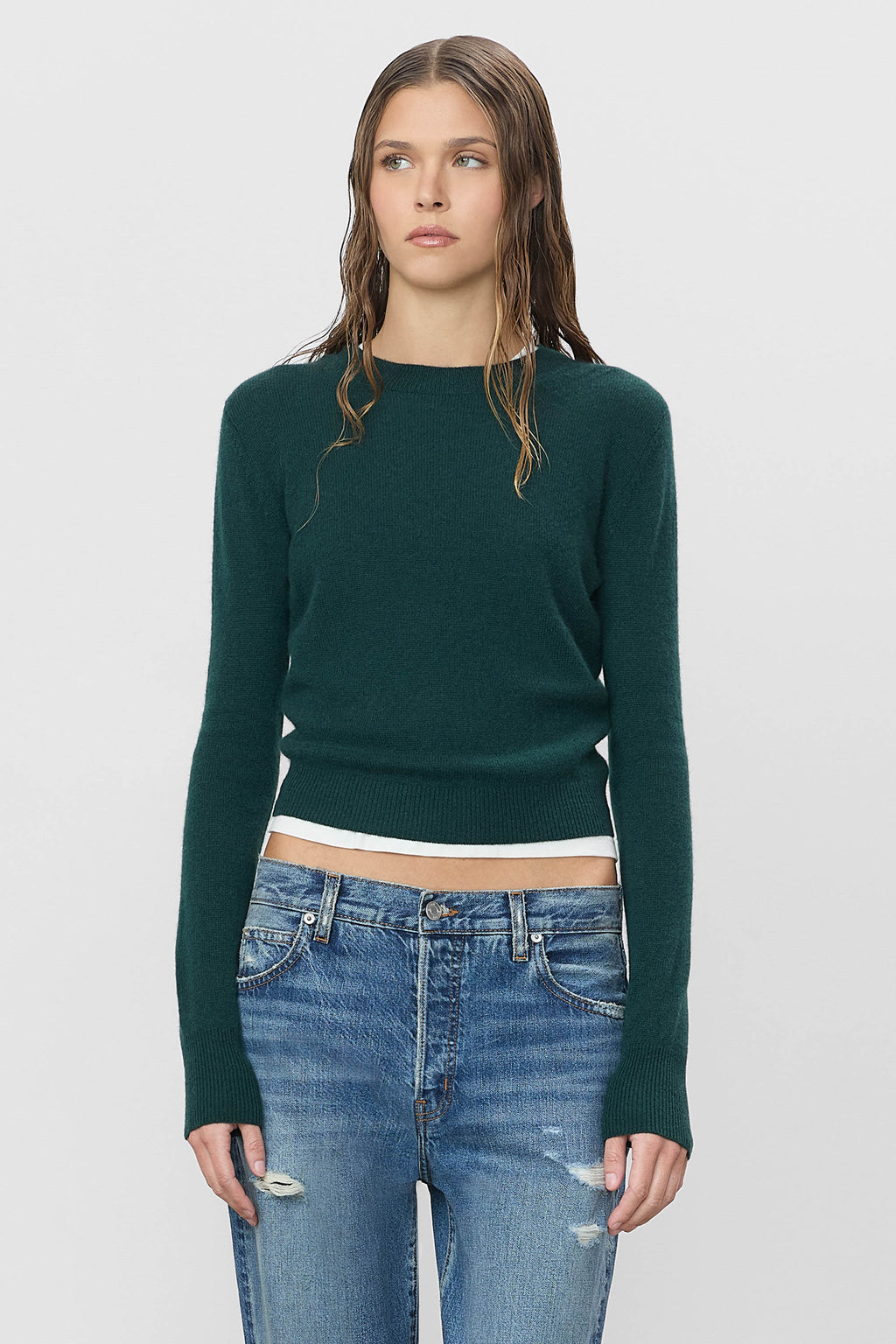 Pull Francis - Forest