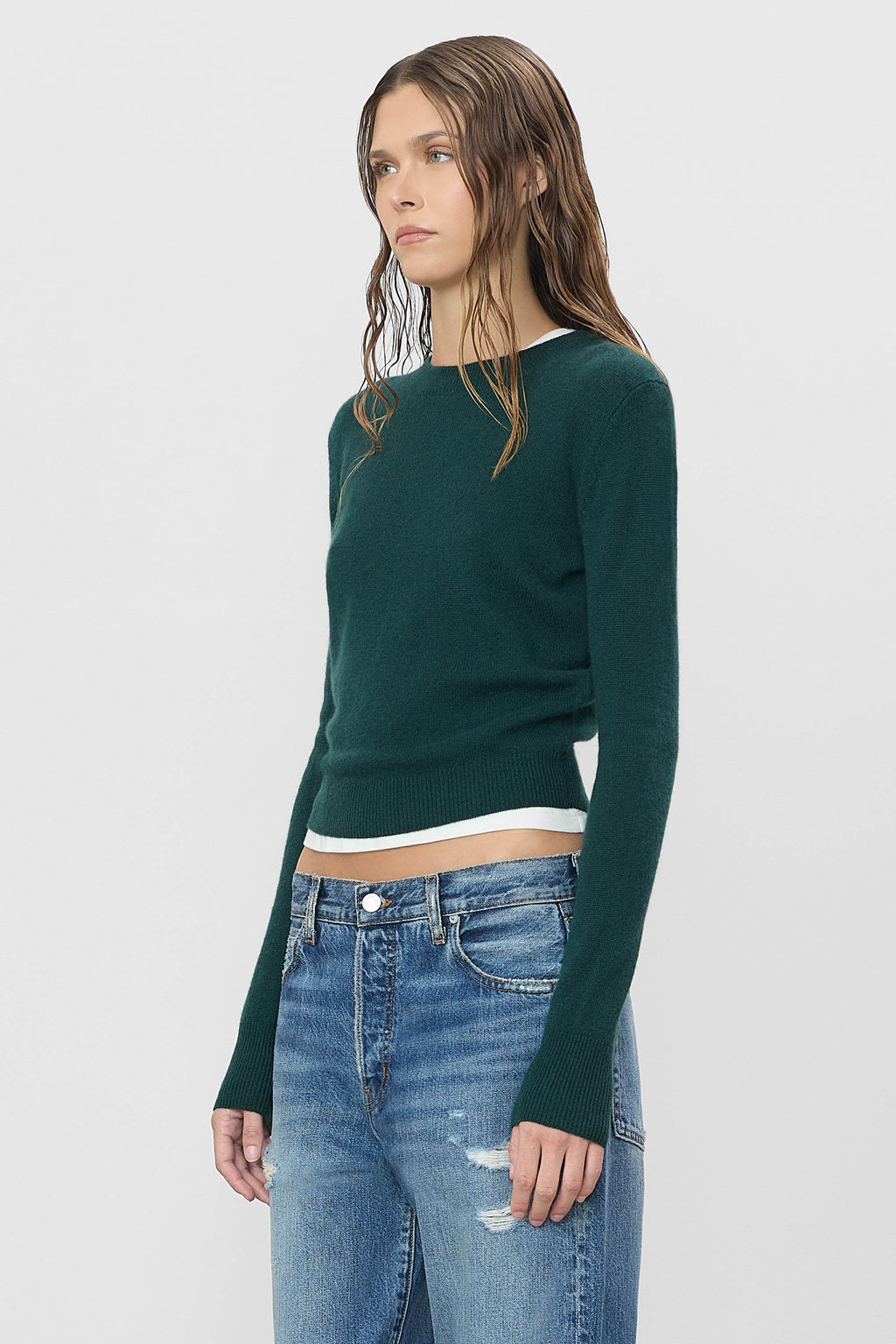 Pull Francis - Forest